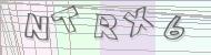Recopiez le code