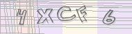 Recopiez le code