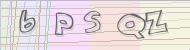 Recopiez le code