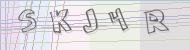 Recopiez le code