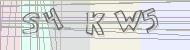 Recopiez le code