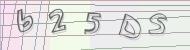 Recopiez le code
