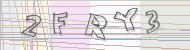Recopiez le code
