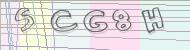 Recopiez le code