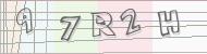 Recopiez le code