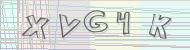 Recopiez le code