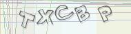 Recopiez le code