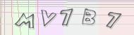 Recopiez le code