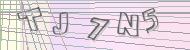 Recopiez le code