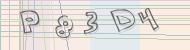 Recopiez le code