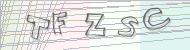 Recopiez le code