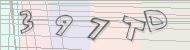 Recopiez le code