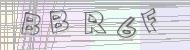 Recopiez le code