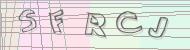 Recopiez le code