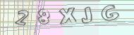 Recopiez le code