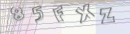 Recopiez le code