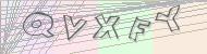 Recopiez le code